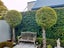 79A Leinster Road, Merivale, Christchurch - Carousel 22
