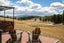 213A Letts Gully Road, Letts Gully, Alexandra - Carousel 1