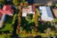 15 Zita Maria Drive, Massey, Waitakere City, Auckland - Carousel 8