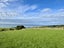 0 Akatore Rd, Taieri Beach, Taieri Mouth - Carousel 6