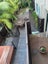 19 Moore Street, Hillcrest, Auckland - Carousel 12