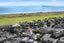 47 Mauritius Key, Papamoa Beach, Papamoa - Carousel 29