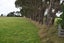 121 Redmayne Road, Waihopai, Invercargill - Carousel 2