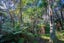 54B Harambee Road, Taiharuru, Parua Bay - Carousel 35