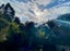 581 South Titirangi Road, Titirangi, Auckland - Carousel 9