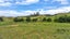 880 Kopuku Road, Maramarua Forest, Te Kauwhata - Carousel 9