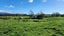 868 Upland Road, Egmont Village, New Plymouth - Carousel 3