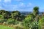 26A Awhiorangi Promenade, Swanson, Auckland - Carousel 33