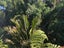29H St Stephens Avenue, Parnell, Auckland - Carousel 15