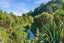 91B Gasson Lane, Pyes Pa, Tauranga - Carousel 1