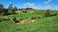 868 Upland Road, Egmont Village, New Plymouth - Carousel 5