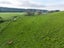 574 Rosewill Valley Road, Levels Valley - Carousel 4
