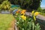 263 Old Coach Road, Paengaroa, Te Puke - Carousel 35
