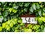 54B Jack Boyd Drive, Kaiwaka - Carousel 30