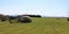 421 Pages Road, Gleniti, Timaru - Carousel 30