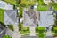 9 Pickaberry Avenue, Karaka, Papakura - Carousel 29