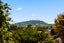 95 Taumata Road, Sandringham, Auckland - Carousel 9