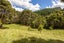 105 Zanders Road, Waimauku - Carousel 39