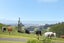 163 Rowe Road, Ohauiti, Tauranga - Carousel 16