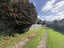 135 Market Road, Epsom, Auckland - Carousel 19