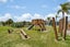 43 Gordon Davies Lane, Huntington, Hamilton - Carousel 25