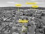 12/15 Don Street, Papakura, Auckland - Carousel 16
