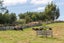 67A Lees Pakaraka Road, Te Ore Ore, Masterton - Carousel 24