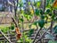 756 Matarangi Drive, Matarangi - Carousel 18
