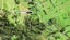 120 Cemetery Road, Silverdale - Carousel 17