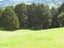 0 Tremain Road, Ruatangata West, Kamo - Carousel 26