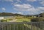 63 Oyster Drive, Cooks Beach, Whitianga - Carousel 17