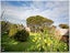 17 Aru Street, Tangimoana, Tangimoana - Carousel 12