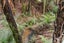 40 Olive Grove, Kaiwaka - Carousel 48