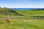 25 Livingston Road, Tokaora, Hawera - Carousel 2