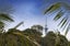 6/29 Birdwood Crescent, Parnell, Auckland - Carousel 5