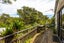 1 Okoka Road, Omiha, Waiheke Island - Carousel 17