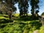 0 Ruatiti Rd, Ruatiti - Carousel 8