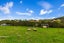 28B Tram Valley Road, Swanson, Auckland - Carousel 3