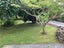 70 Wood Street, Takaro, Palmerston North - Carousel 14