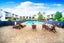 19/8 Carolina Place, Albany, North Shore City - Carousel 8