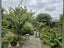 54 Liverpool Street, Whanganui, Whanganui - Carousel 8