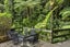 74 Scenic Drive, Titirangi, Auckland - Carousel 19