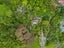 2 Kotuku Street, Te Aroha, Te Aroha - Carousel 25