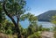 308 Port Underwood Road, Whatamango Bay, Picton - Carousel 31