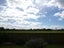 60 Gordon Davies Lane, Huntington, Hamilton - Carousel 5