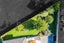155A West Tamaki Road, Glen Innes, Auckland - Carousel 3