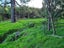 54 Hall Road, Matakohe - Carousel 10