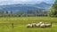 777 Ellesmere Road, Christchurch - Carousel 36