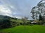 246 Monowai Road, Silverdale - Carousel 20