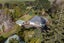 380 Muriwai Road, Waimauku, Waimauku - Carousel 25